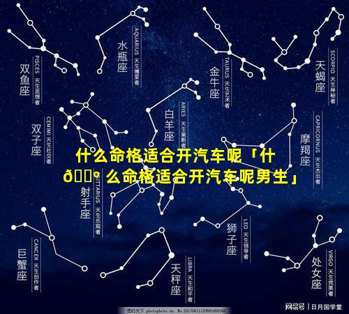 什么命格适合开汽车呢「什 🌺 么命格适合开汽车呢男生」